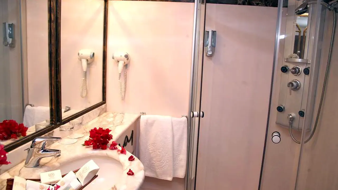 رحلة الباخرة نايل دولفين